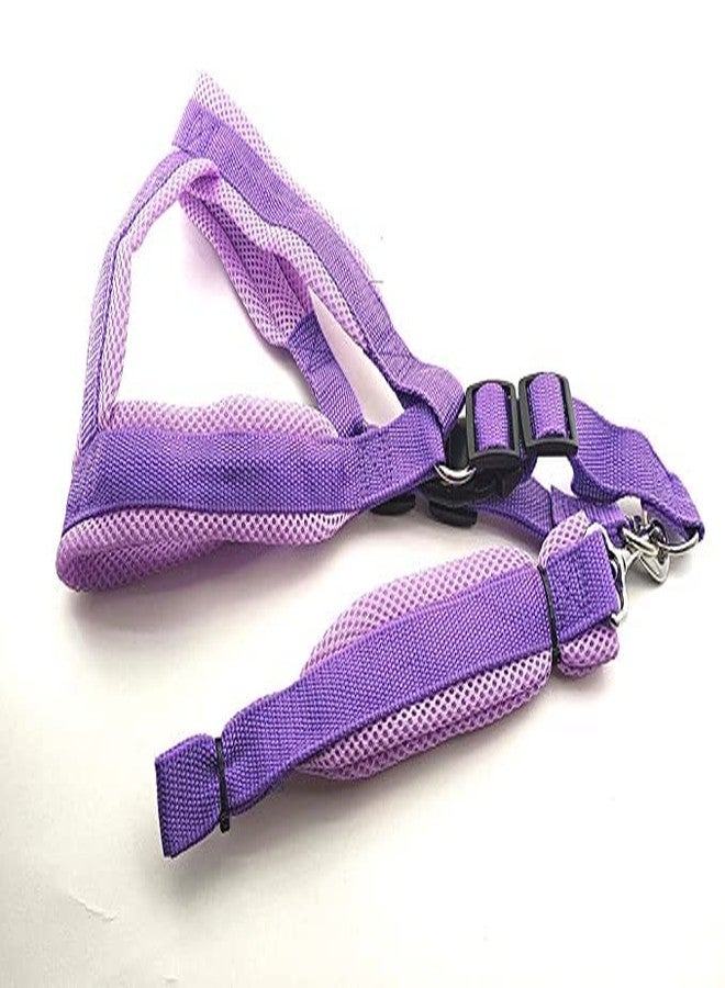 Pups&Pets سترة مبطنة من النايلون الأساسي الناعم والقابل للتعديل من Pups&Pets مقاس 1 بوصة مع حزام ومقود طويل، مثالية للمشي في الهواء الطلق/تدريب الكلاب (بنفسجي) - Image 1